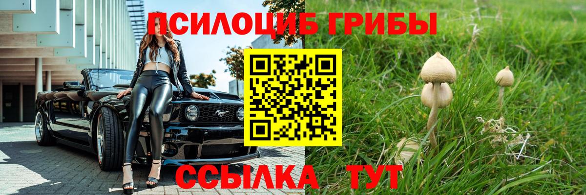 Галлюциногенные грибы Cubensis  Вход с VPN  Коряжма 